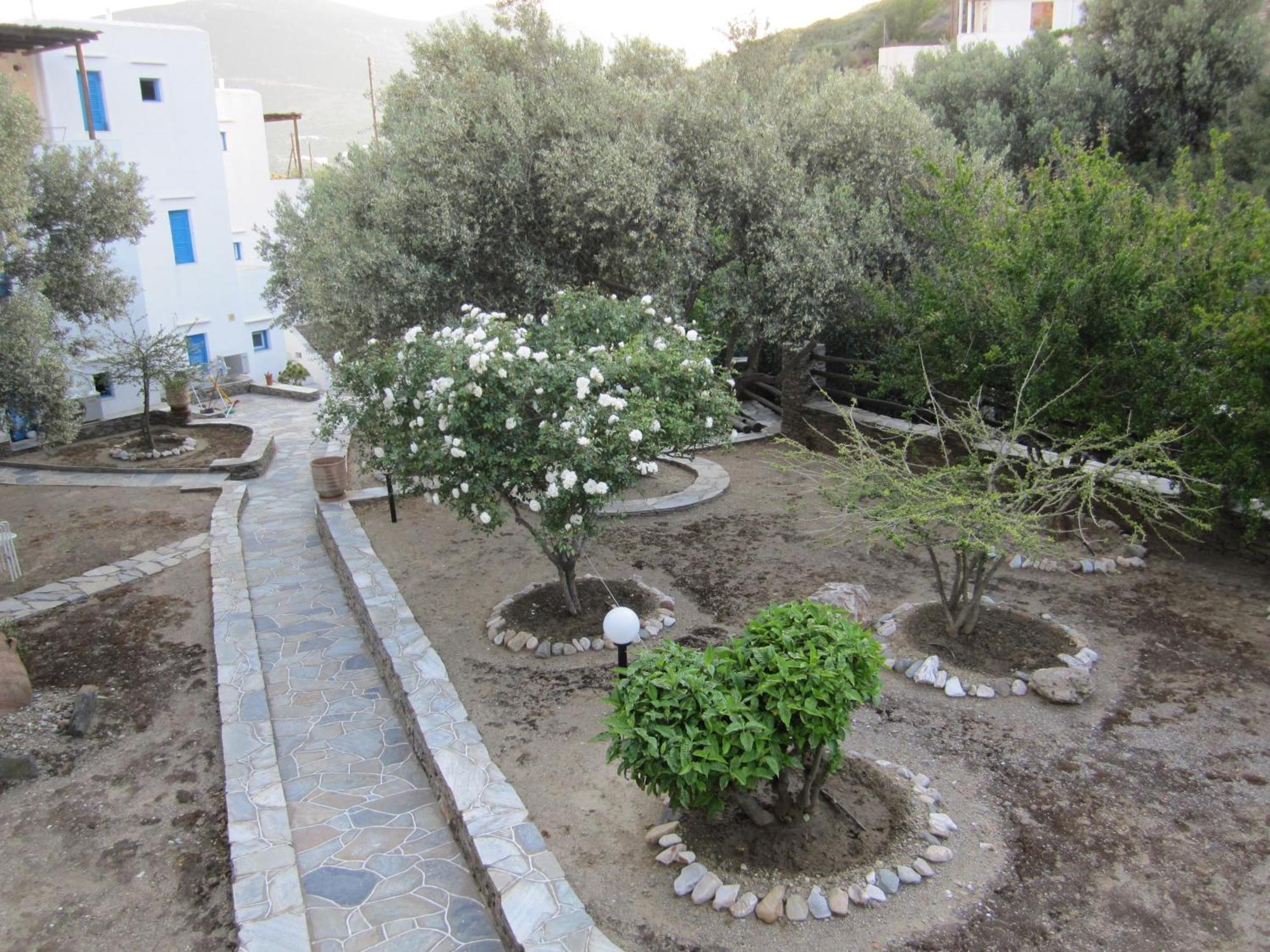 Alexandros Hotel Platis Gialos  외부 사진