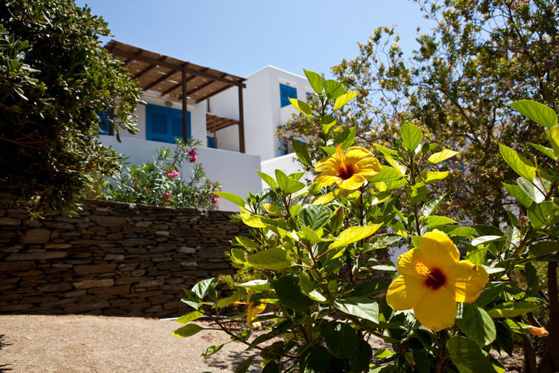 Alexandros Hotel Platis Gialos  외부 사진