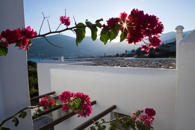Alexandros Hotel Platis Gialos  외부 사진